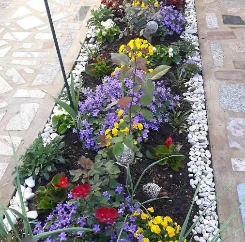 Ela I Gabi Омишаль